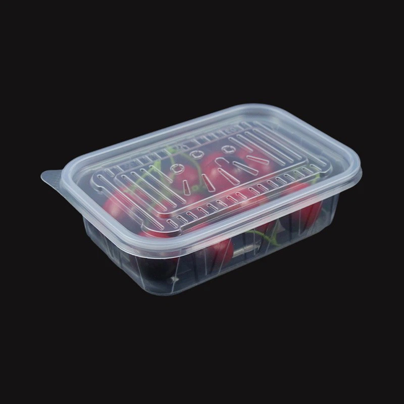 Plastic Food Container Transparent