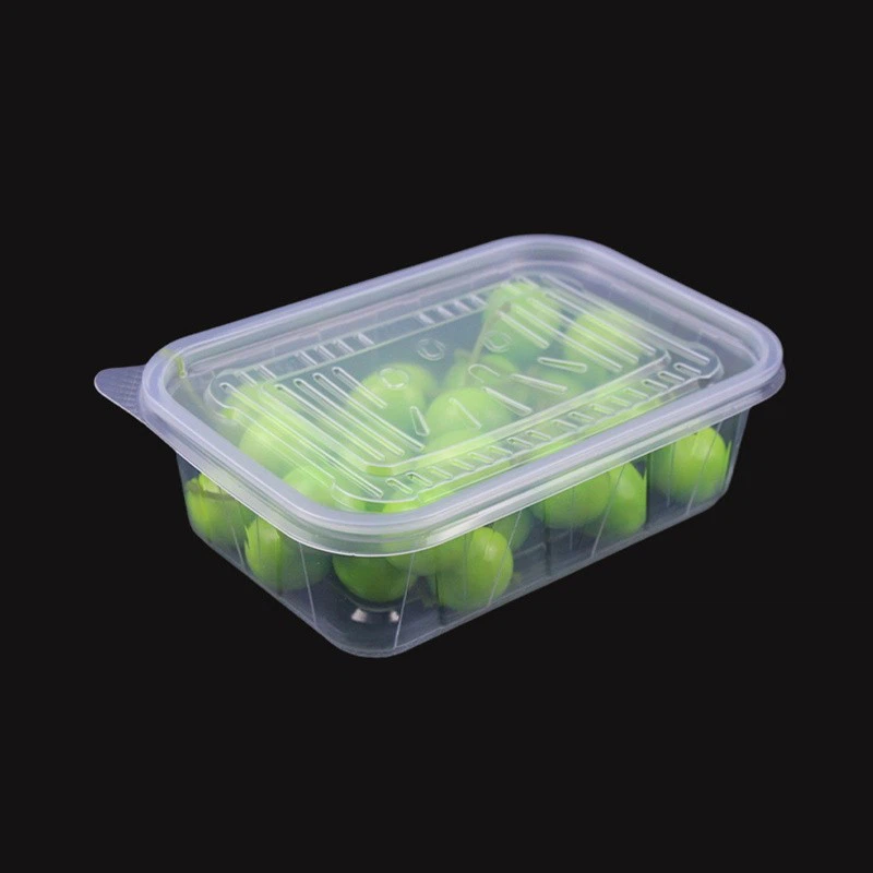 Plastic Food Container Transparent